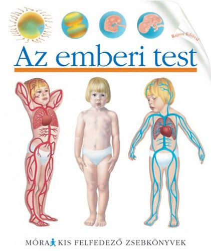 az emberi test