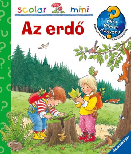 az erdő